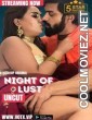 Night of Lust (2024) HotX Original