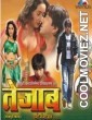 Tezaab (2010) Bhojpuri Full Movie