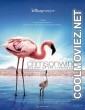 The Crimson Wing Mystery of the Flamingos (2008) Hindi Dubbed Movie