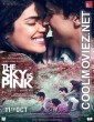 The Sky Is Pink (2019) Hindi Movie