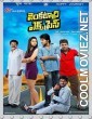 Venkatadri Express (2013) Hindi Dubbed South Movie